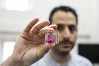 El prototipo de corazón humano creado por Tal Dvir, impreso con tecnología 3D y con tejidos humanos y vasos sanguíneos, tiene el tamaño de una cereza