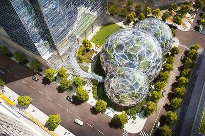 El proyecto "Rufus 2.0" de Amazon.com va a tener un invernadero, casas en los árboles, un arroyo interior, puentes colgantes y alrededor de 3.000 especies de plantas