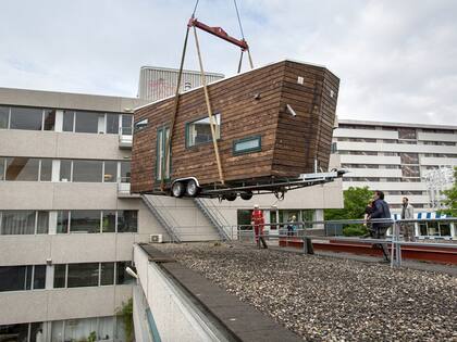 El proyecto apunta a aprovechar los techos planos de los edificios no ya para hacer una cubierta verde, sino una pequeña comunidad con vegetación.