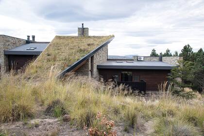 El proyecto arquitectónico fue pensado como “una bocina que se abre a la estepa”, con un techo verde como la continuación del paisaje sobre la casa.