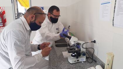 El proyecto brinda asistencia técnica a productores.