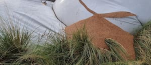Presentaron un proyecto de ley para castigar con hasta ocho años de prisión el vandalismo rural