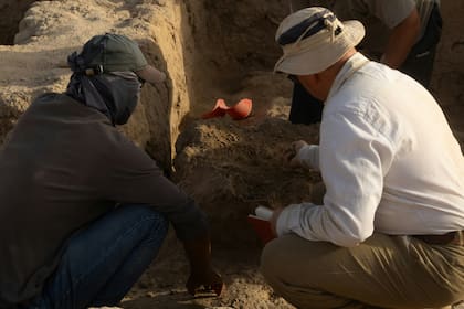 El Proyecto Ciudad del Babuino continuará hasta el año que viene en Egipto