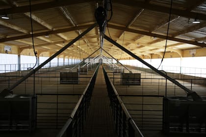 El proyecto contempla la construcción de 12 galpones de engorde, con una capacidad de 3500 plazas cada uno y divididos en dos sitios de producción