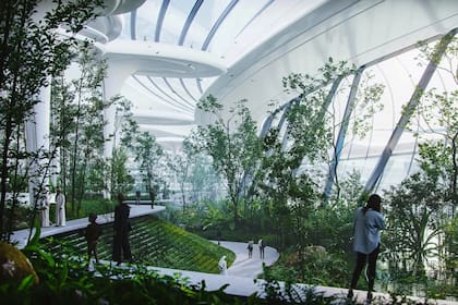 El proyecto contempla un sistema de recolección de agua de lluvia, energía solar y un sistema de almacenamiento de carbono y filtros de contaminantes del aire