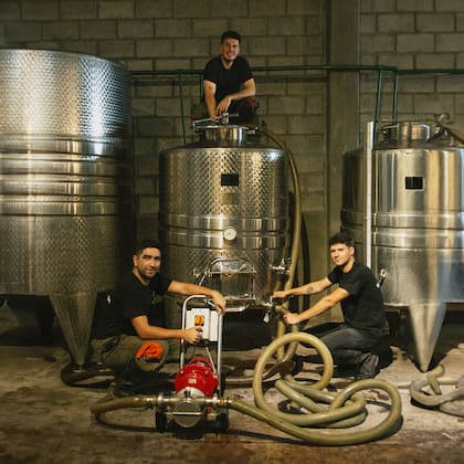 El proyecto de Antropo tiene sangre joven