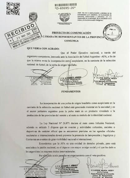 El proyecto de Juan José Szychowski, extitular del INYM, productor yerbatero y actual diputado provincial por el oficialismo