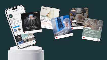 El proyecto de Lacy diseña estrategias de contenido para diferentes espacios digitales, entre ellos las redes sociales