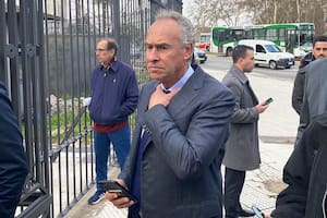 Una empresa de Marcelo Mindlin pidió ingresar al RIGI para producir fertilizantes con el gas de Vaca Muerta