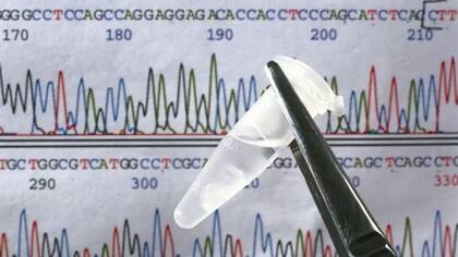 El proyecto del genoma humano secuenció por primera vez un genoma humano completo, pero décadas después algunos tramos de ADN siguen siendo enigmáticos