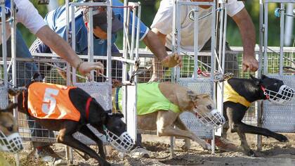 El proyecto generó un fuerte debate