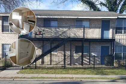 El proyecto incluirá características sostenibles, como recolección de agua de lluvia y paisajismo con plantas nativas de Texas (imagen ilustrativa)