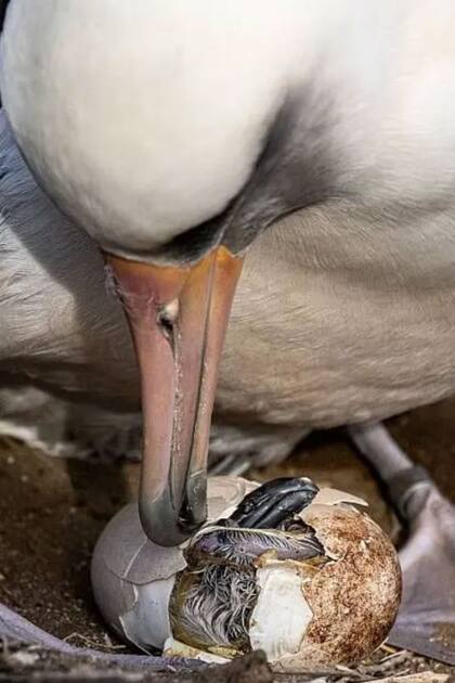 "El proyecto muestra que s se puede, que estamos a tiempo de salvar un ecosistema".