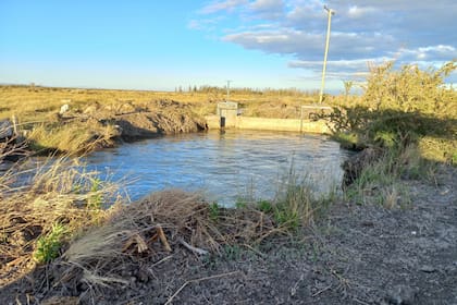 El proyecto para recuperarlos parte de una idea que surgió desde 2009