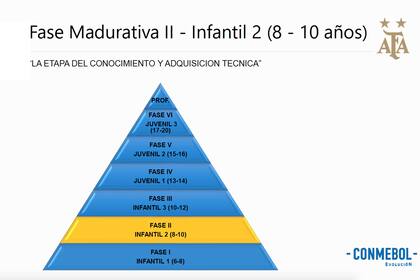 El proyecto que presentó la AFA, para Selecciones Nacionales