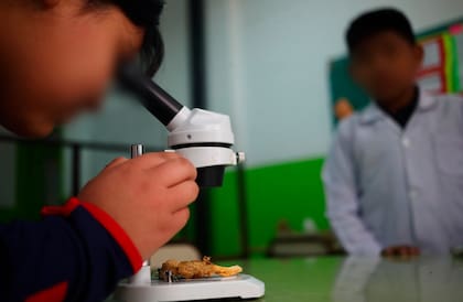 El proyecto recibió un premio y una mención del Instituto Nacional de Tecnología Agropecuaria (INTA)