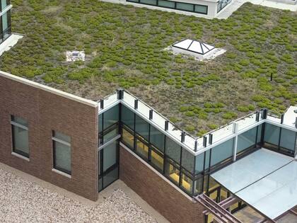 El proyecto toma como base los techos verdes que consisten en la cobertura parcial o total del techo de un edificio con vegetación