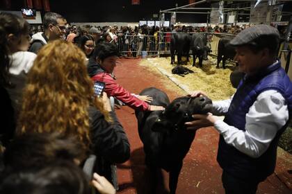 El público aprovechó la muestra