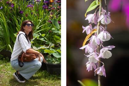 El público descubriendo algunas de las espacios de viveros, entre ellos, el espacio de acuáticas Naturalia.