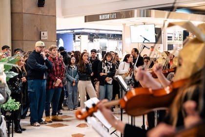 El público encantado con Wild Strings.