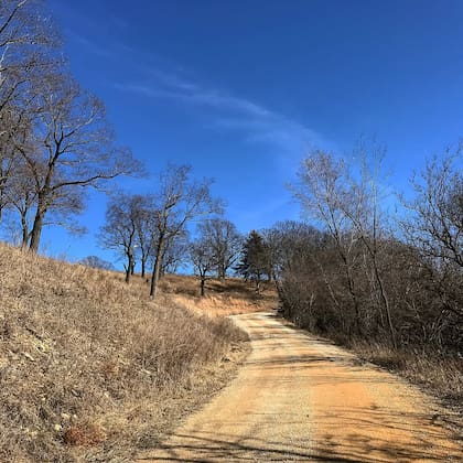 El pueblo de Galena tiene 3,300 habitantes y el 62% de sus edificios permanecen al Registro Nacional de Lugares Históricos (Instagram/@fanofthearts7681)