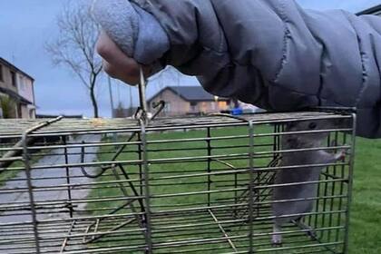 Los residentes se quejan sin éxito con las autoridades del pueblo. Aseguran que viven "una pesadilla"