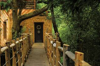 Glamping. Cómo es la casa del árbol más lujosa y artesanal de Inglaterra