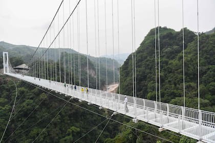 El puente de cristal Bach Long está suspendido a unos 150 metros sobre un exuberante desfiladero cubierto de selva