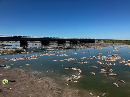 El puente de la ruta nacional cinco sobre el rio Salado