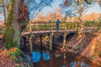 El puente Pooh Sticks, en el bosque de Ashdown, se dice guarda secretos escondidos