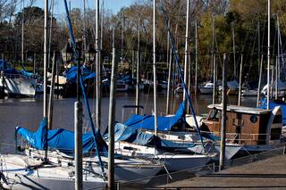 Coronavirus: en San Isidro analizan la vuelta de las actividades náuticas