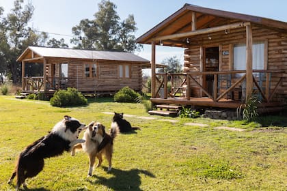 El Puesto La Picasa, las cabañas del emprendimiento de Martín Tatta.