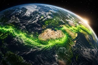 El pulmón del mundo se desplaza: descubren una migración masiva hacia el noreste