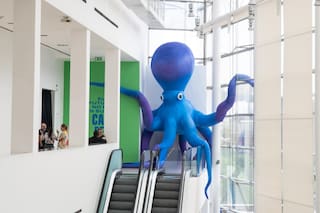 El gigantesco animal inflable dará la bienvenida en las escaleras del museo, convertido en una fábrica