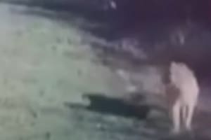 Crece el temor de los vecinos del country de Pilar en medio de las prohibiciones dentro del predio