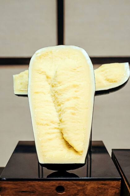 El queso no debe servirse frío, ya que las bajas temperaturas ocultan su verdadero sabor y ocultan su aroma. En el caso de los quesos semiduros y duros, lo ideal es consumirlos entre 30 minutos y 1 hora después de sacarlos de la heladera