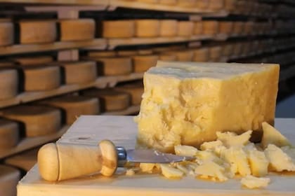 El queso parmesano requiere de un proceso de conserva para que no se pudra