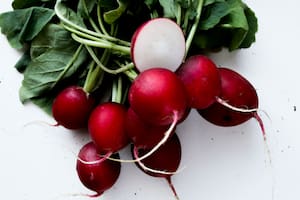 El rábano es una verdura que tiene variados beneficios para el cuerpo (foto ilustrativa)