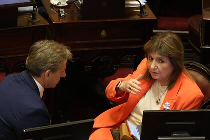 El radical Eduardo Vischi, uno de los principales socios de Patricia Bullrich en el Senado