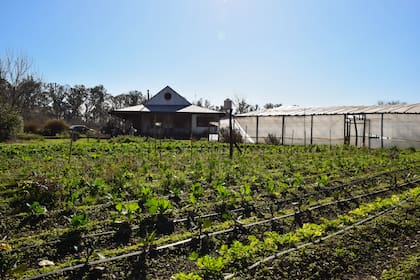 El rancho estilo patagónico que enmarca los cultivos a cielo abierto.