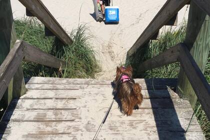 El ranking se basó en asequibilidad, satisfacción del visitante y valor como destino poco conocido