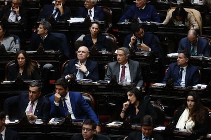 El rechazo al veto implica que la ley de emergencia en discapacidad vuelve al Senado