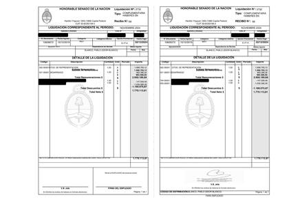 El recibo de sueldo de marzo correspondiente a los gastos de desarraigo de un senador nacional