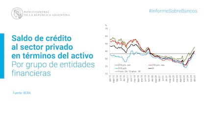 El reciente informe del BCRA