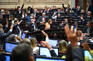 El Gobierno envió al Senado un proyecto que establece el juicio sumarísimo para desalojos por usurparciones