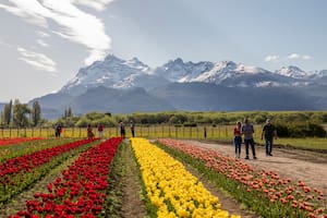 El reconocimiento global de Naciones Unidas destaca a destinos rurales argentinos por su autenticidad