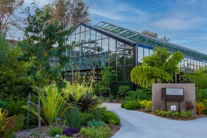 El recorrido por el Jardín Botánico es otra actividad para hacer en familia