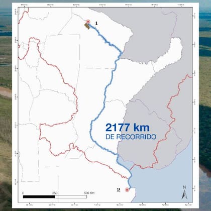 El recorrido que hizo Teuco, la nutria gigante, entre El impenetrable y Villa Boch