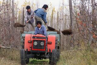 Hay trabajo, pero falta gente