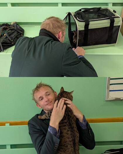 El reencuentro de Jack y Rocky después de semanas separados (Foto: Instagram @austinpetsalive)